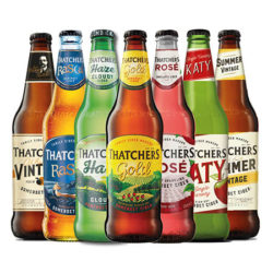 an array of thatchers vegan cider bottles in a row