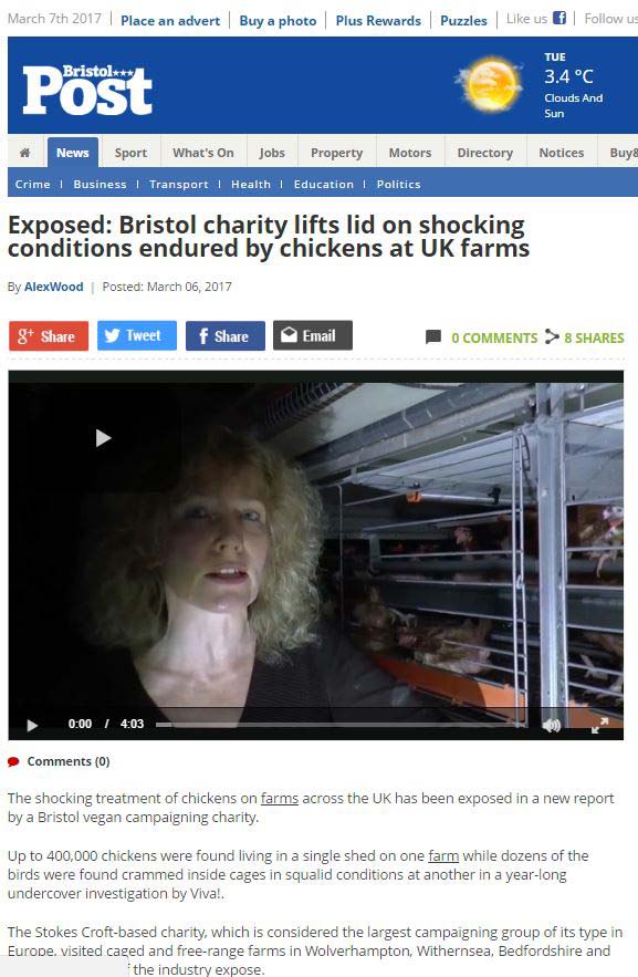 Exposed Bristol charity lifts lid Bristol Post