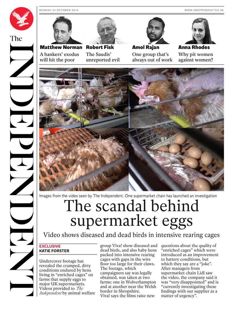 The Independent - Egg expose