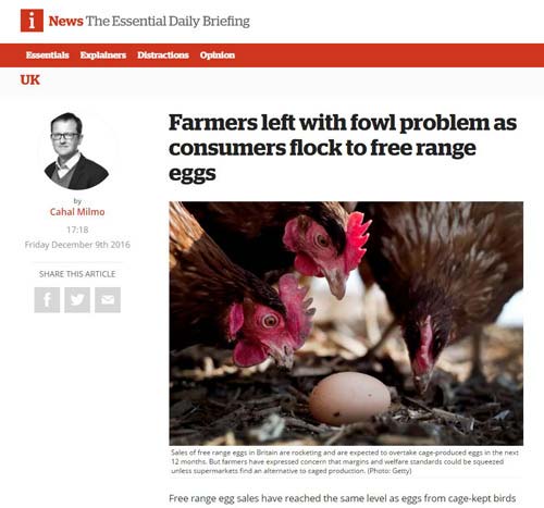iPaper