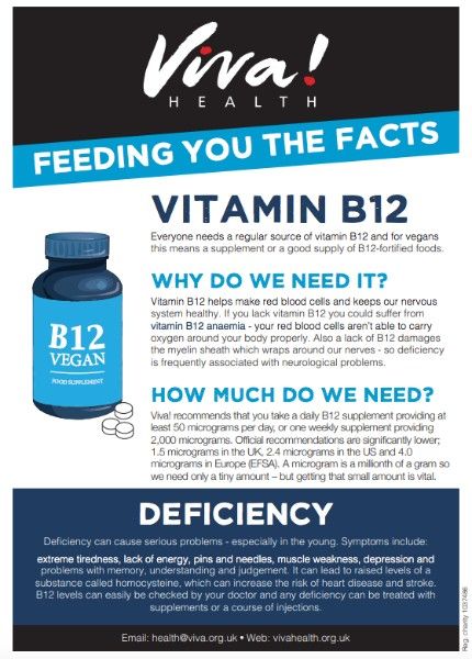 Mini Factsheet Vitamin B12 Viva The Vegan Charity