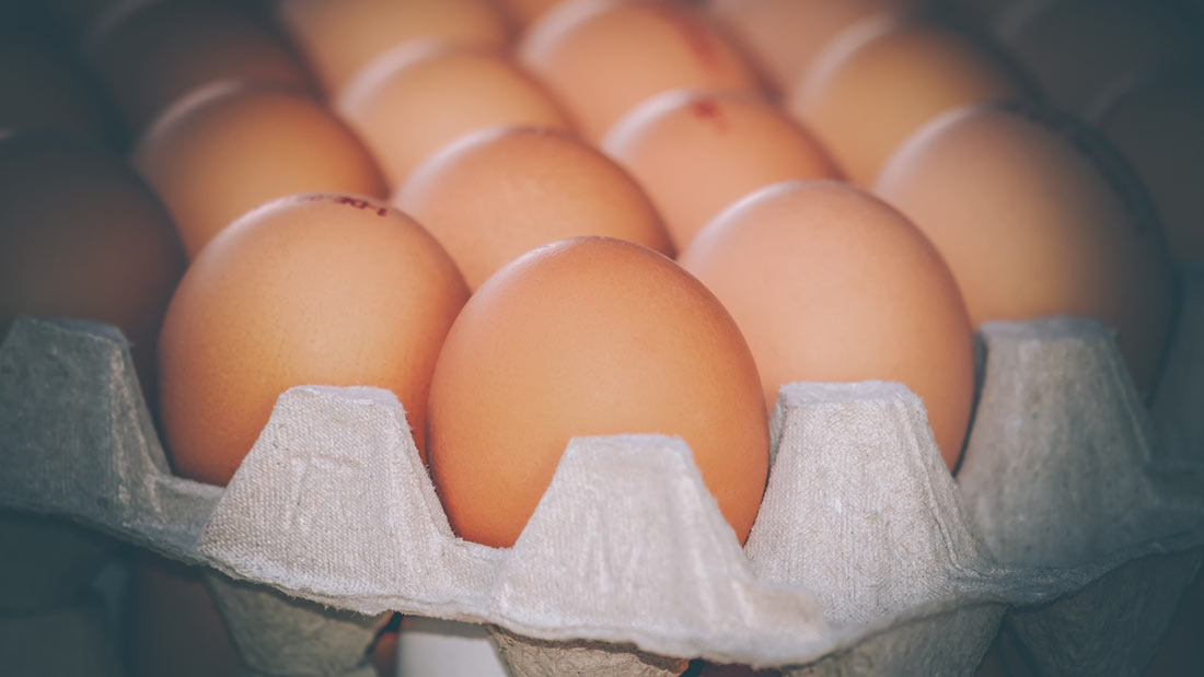 Chicken eggs
