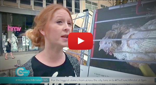 Bristol TV interview with Claire Palmer