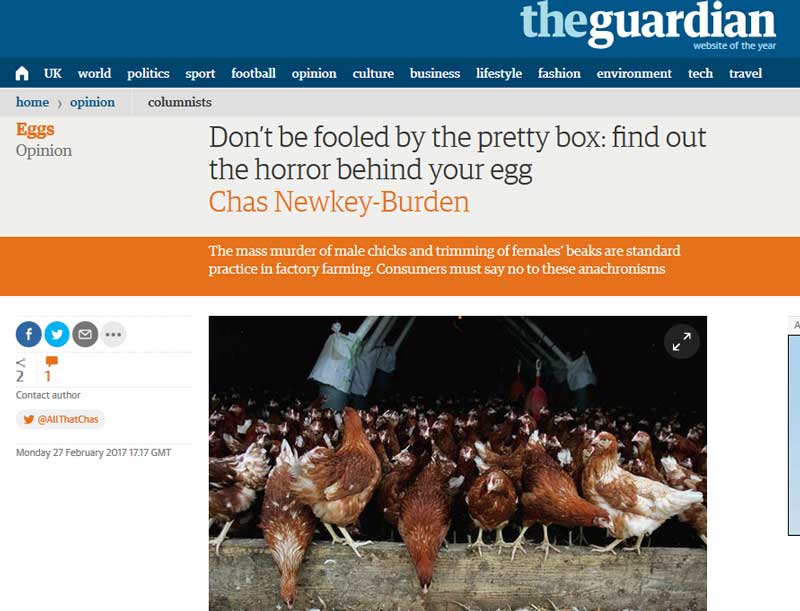 The Guardian - horror eggs