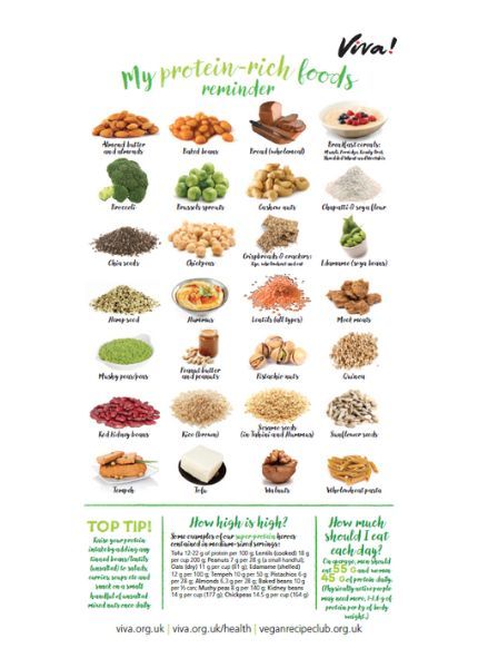 Protein-Rich Foods Wallchart - | Viva! The Vegan Charity