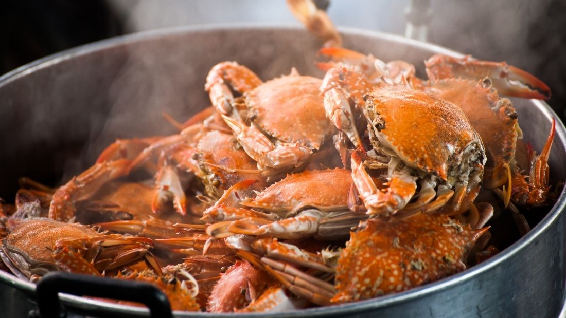 Crabs steamed