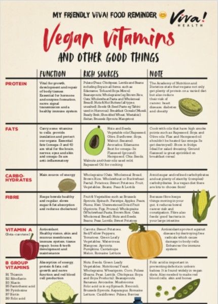 cover of vegan vitamins guide