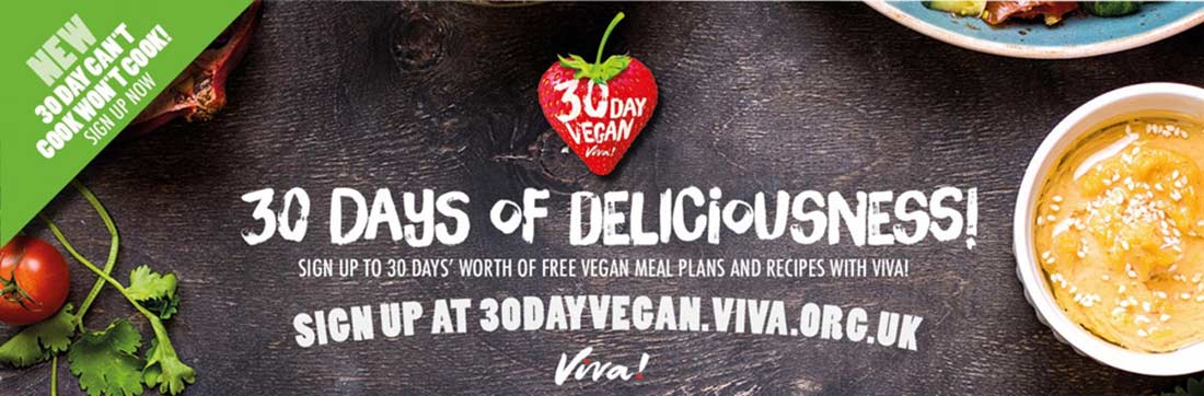 30 Day Vegan - 2017-review