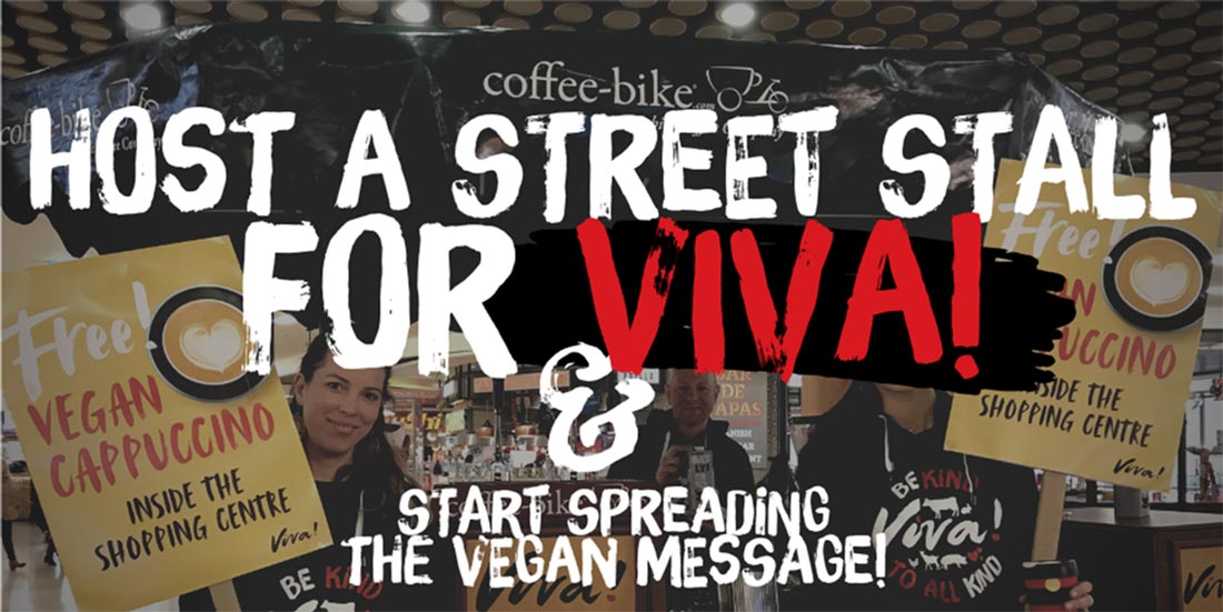 Host a street stall