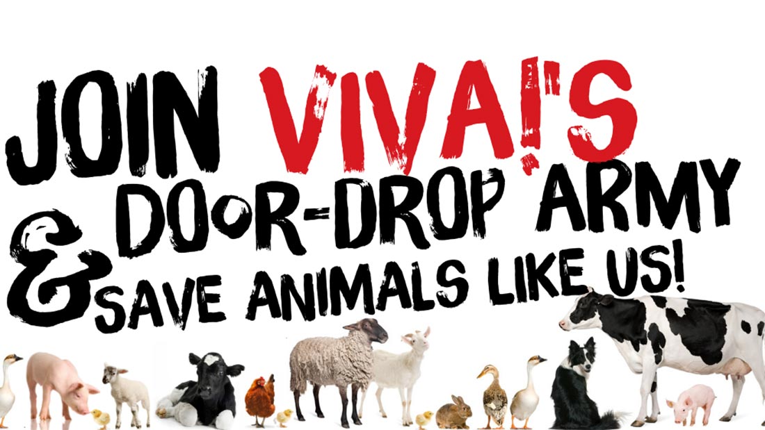 Join Viva!'s door-drop army. Save animals like us!