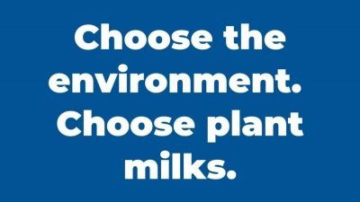 Choose the environment
