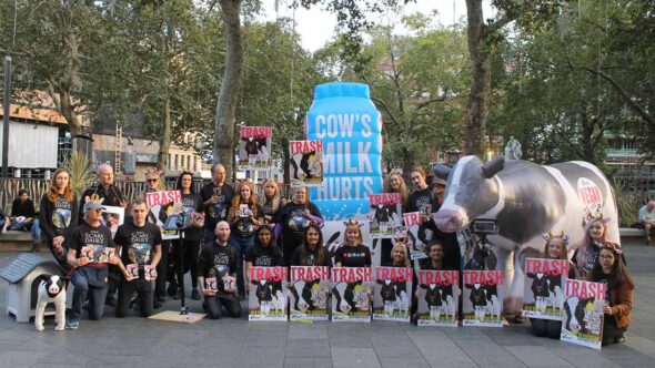 Street actions and protests