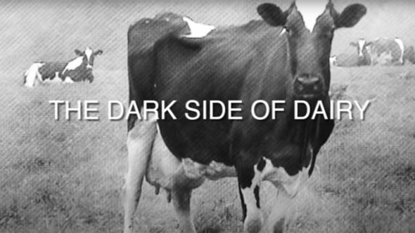 Dark side of dairy