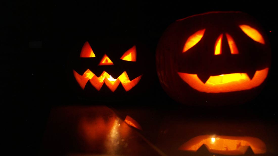 Viva!'s ultimate guide to Halloween - Blog | Viva! The Vegan Charity