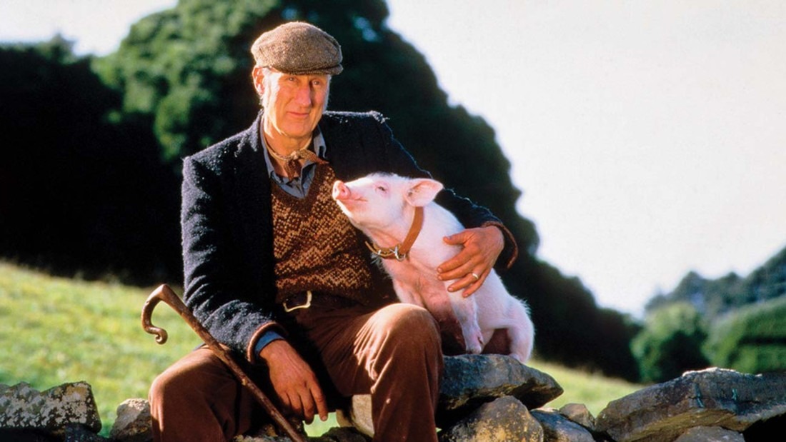 james cromwell in babe