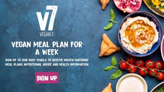V7 Meal Plan