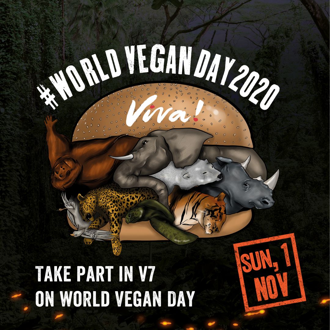 world vegan day graphic