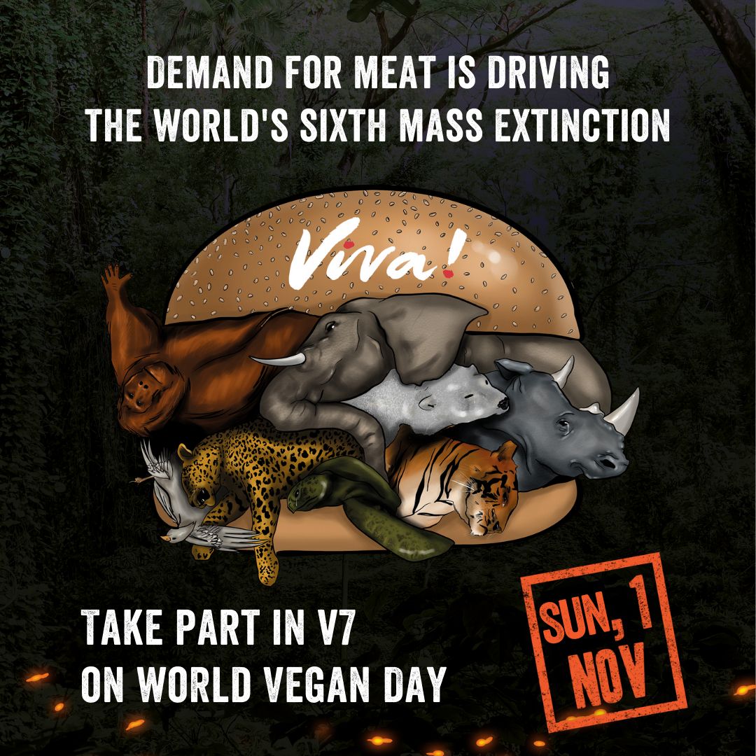 world vegan day graphic