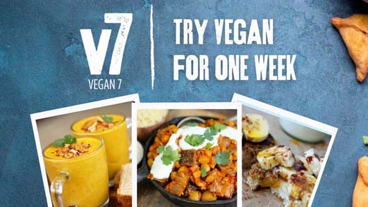 7 Day vegan
