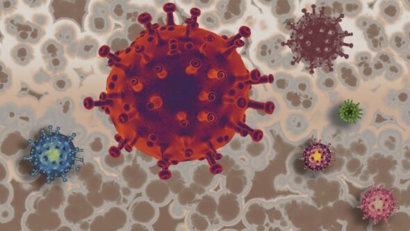 Image of viruses