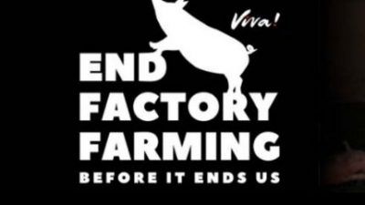 end factory farming logo