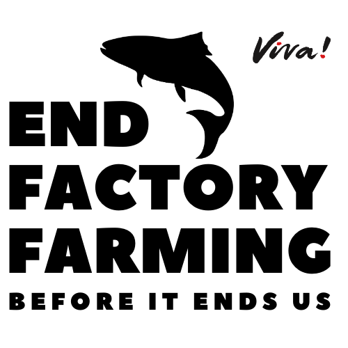end factory farming logo fish version