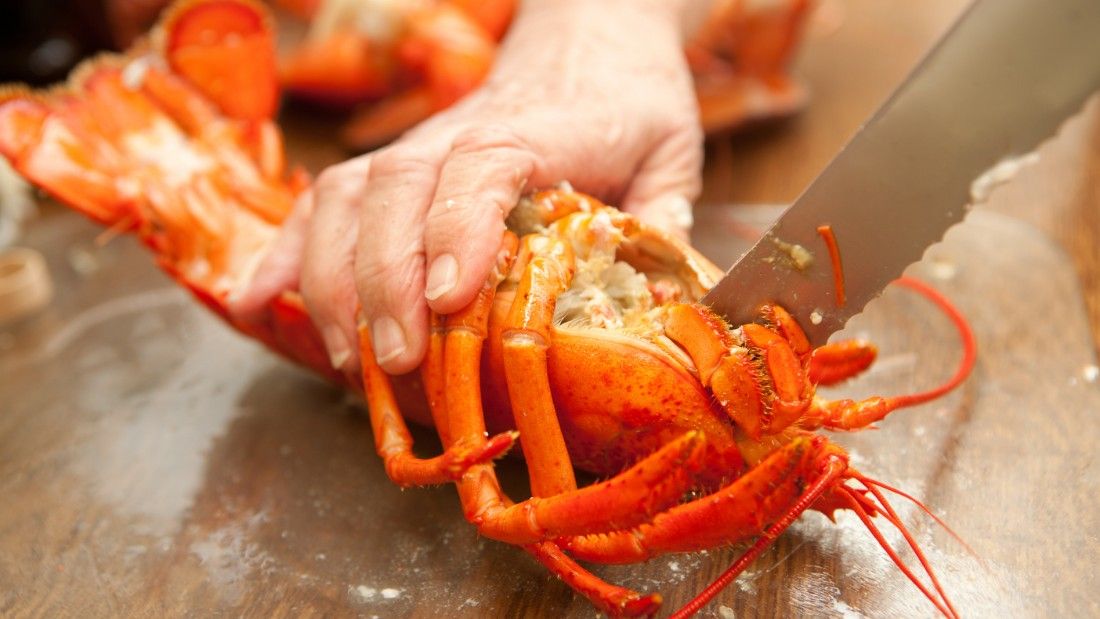 lobster being slaughtered