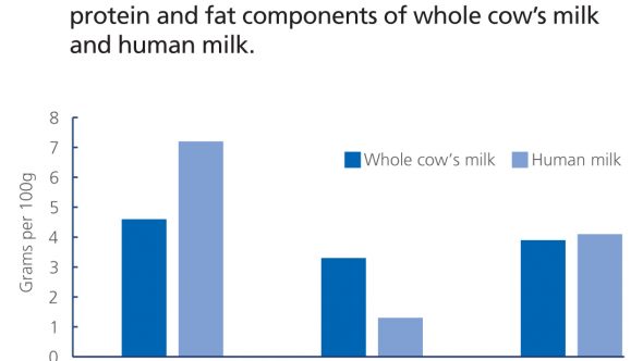 A comparison between human milk and cow s milk Viva The Vegan