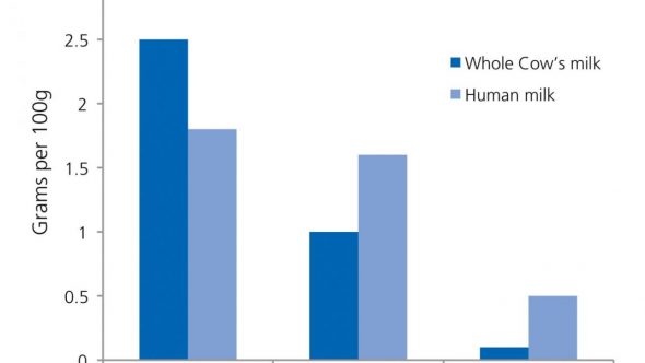 Breast Milk Composition Over Time: What's in it and How Does it