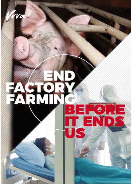 Front cover of end factory farming leaflet