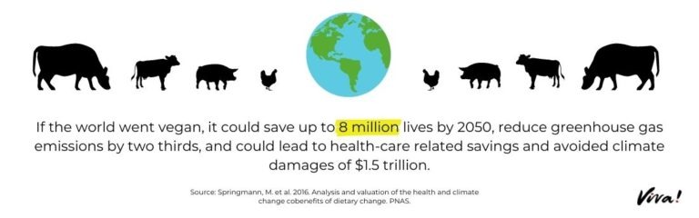 Statistics About Veganism | Viva! The Vegan Charity