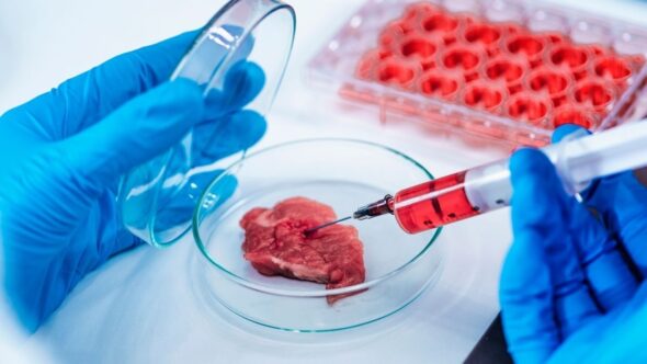 Lab Meat