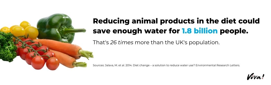 reducing animal products water consumption graphic