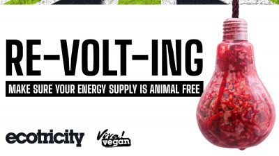 Switch to vegan energy with Ecotricity