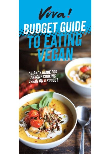 Front cover of budget guide