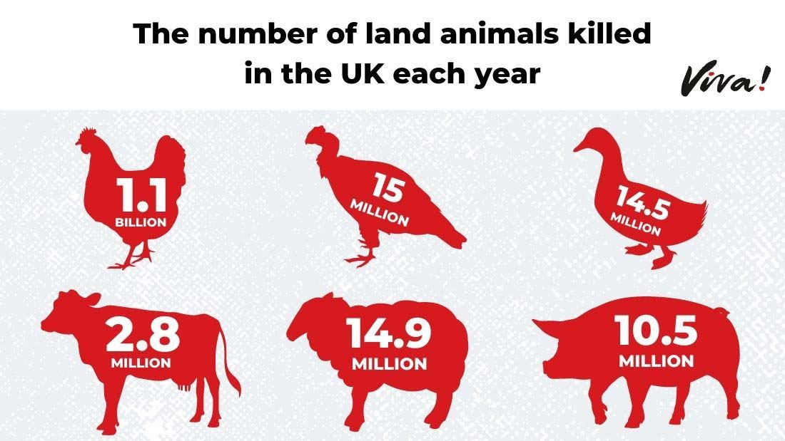 Statistics