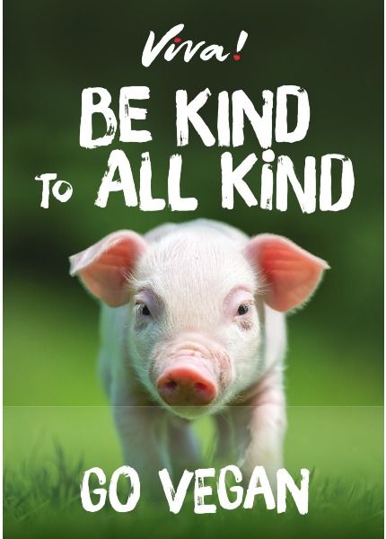 Be kind poster with a piglet on the front