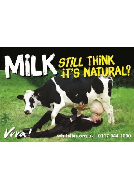 poster with man drinking from udders of a cow