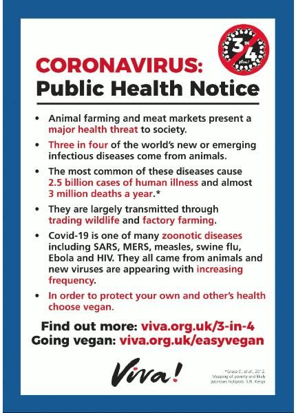 covid-19 public health notice poster