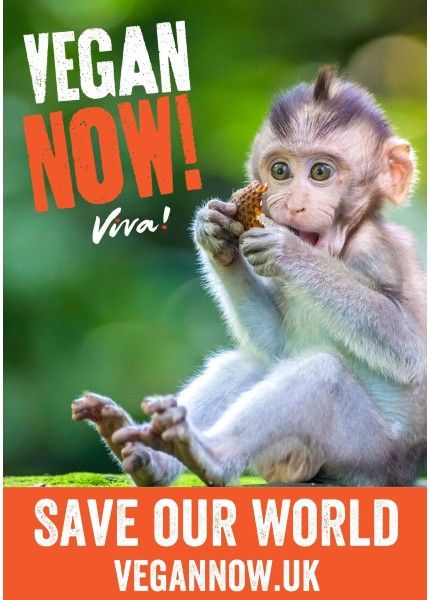 vegan now poster with baby monkey on the front