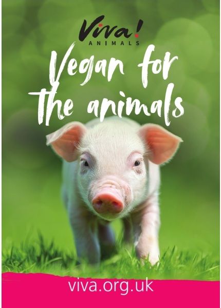 vegan for the animals poster with a piglet on the front