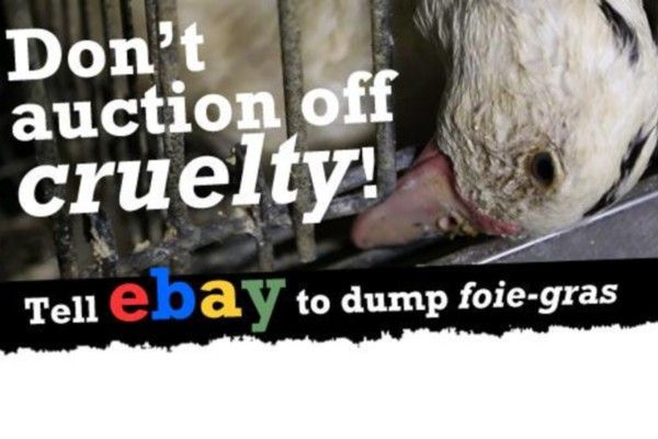 Foie gras, Definition, Production, Cruelty, & Facts