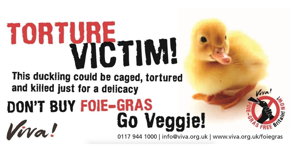foie gras leaflets