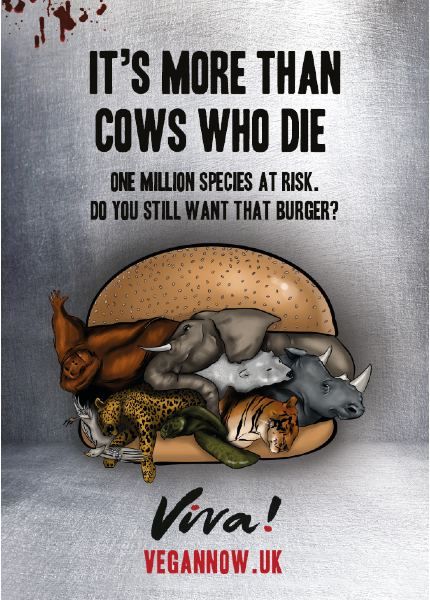 animal charity posters