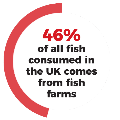 46% of all fish consumed in the UK comes from fish farms