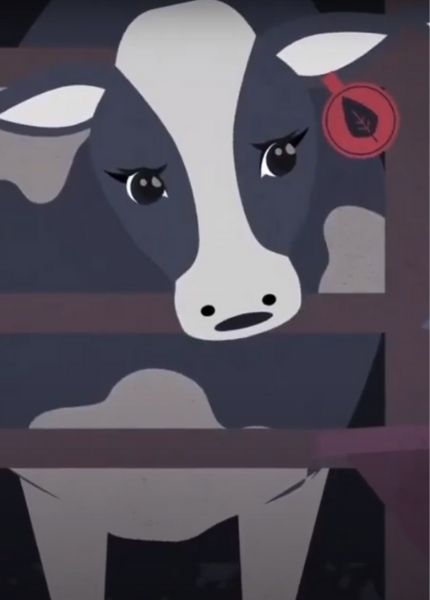 animated cow