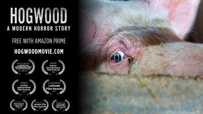 Hogwood documentary poster