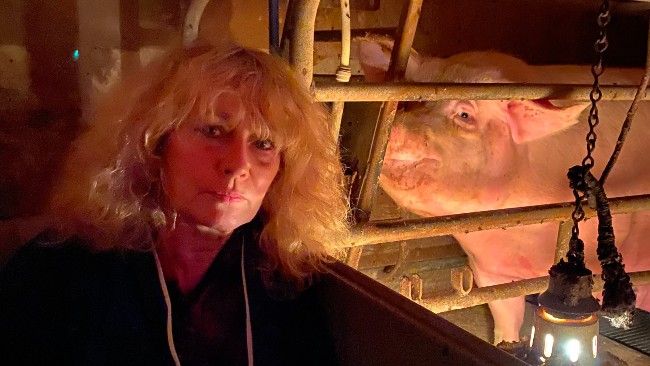 Juliet stands in front of sow in farrowing crate