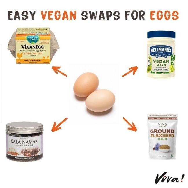 eggs surrounded by egg alternatives