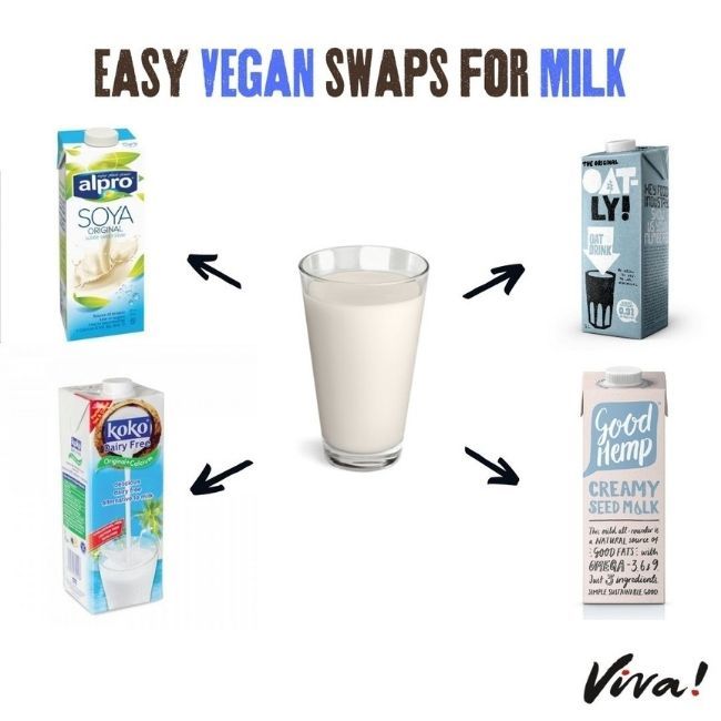glass of milk surrounded by milk alternatives